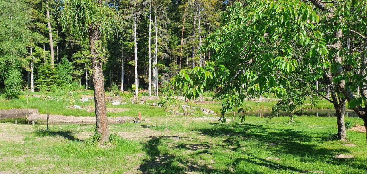 Gites Les Saules Et Les Charmes Saint-Remy  Εξωτερικό φωτογραφία